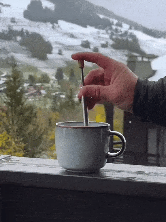 LANZZI Coffee and Tea Press Maker