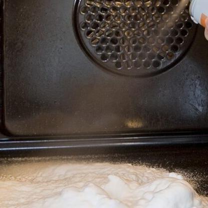 LANZZI FreshFoam Cleaner